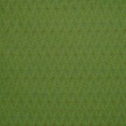 Seedling Green