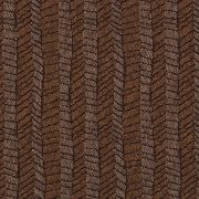 Acorn