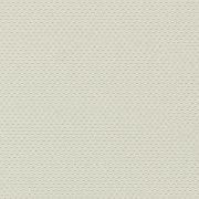 Celadon