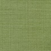 Clover