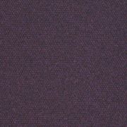 Dark Iris