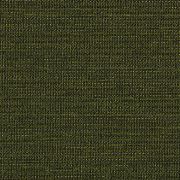Elm